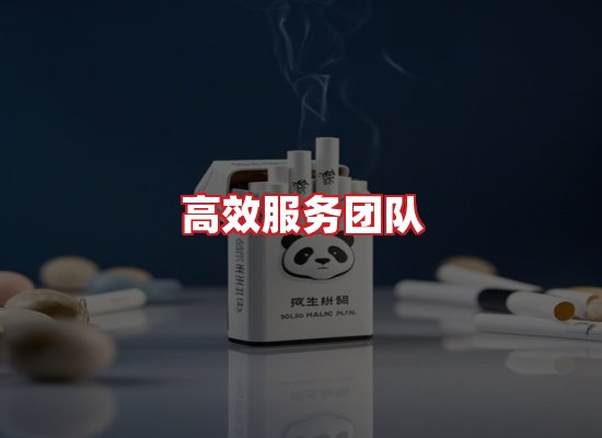 专业团队